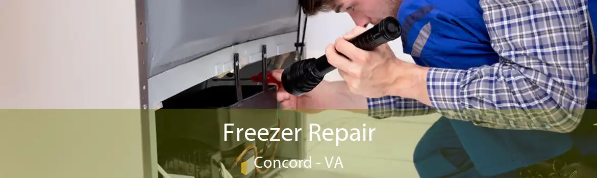 Freezer Repair Concord - VA