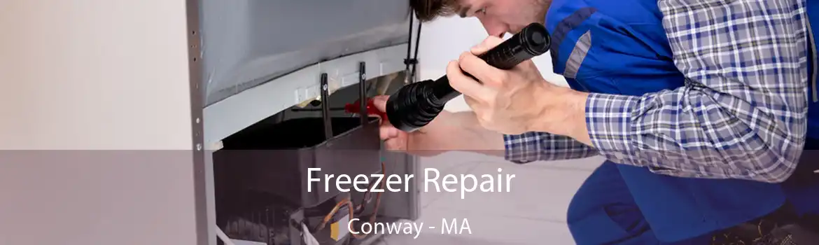 Freezer Repair Conway - MA