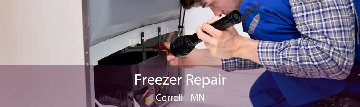 Freezer Repair Correll - MN