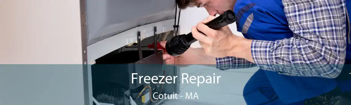 Freezer Repair Cotuit - MA