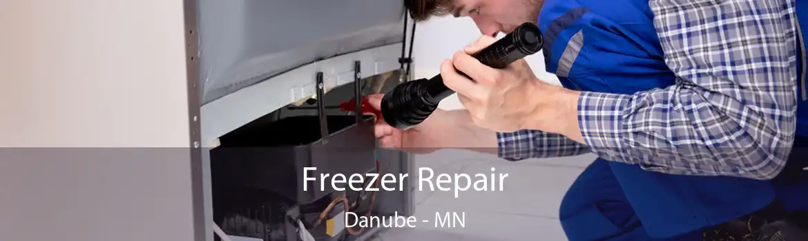 Freezer Repair Danube - MN