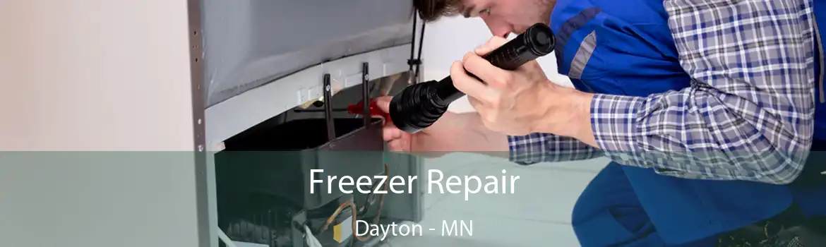 Freezer Repair Dayton - MN