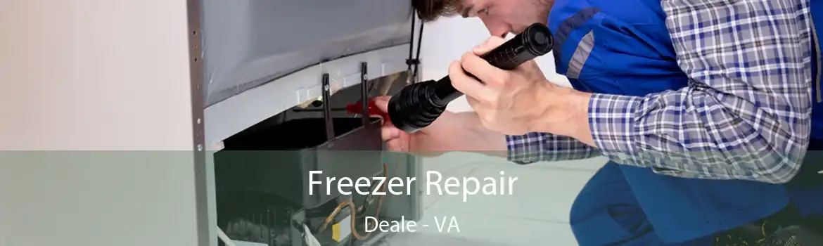 Freezer Repair Deale - VA