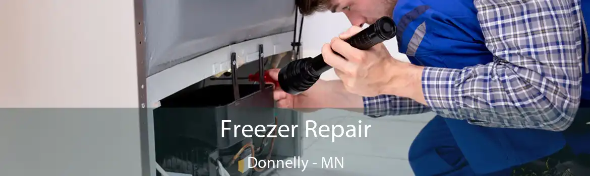 Freezer Repair Donnelly - MN