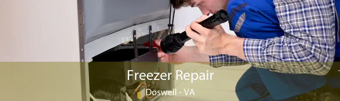 Freezer Repair Doswell - VA