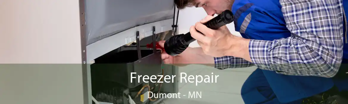 Freezer Repair Dumont - MN