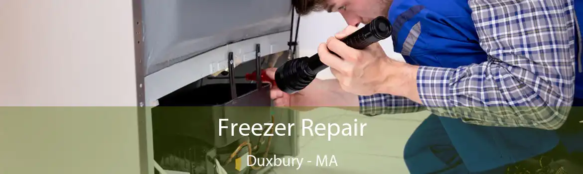 Freezer Repair Duxbury - MA