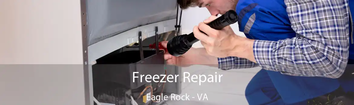 Freezer Repair Eagle Rock - VA