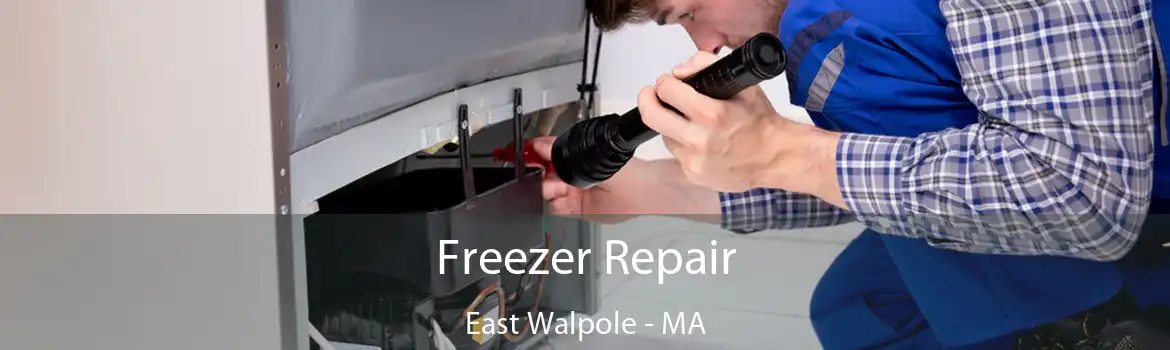 Freezer Repair East Walpole - MA