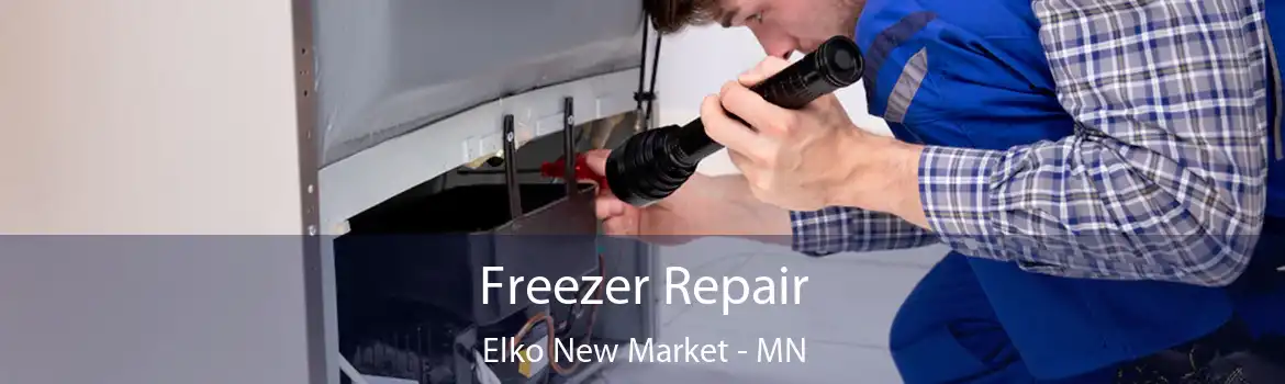 Freezer Repair Elko New Market - MN