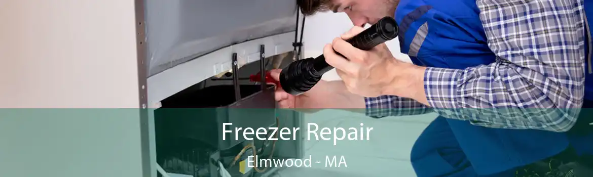 Freezer Repair Elmwood - MA