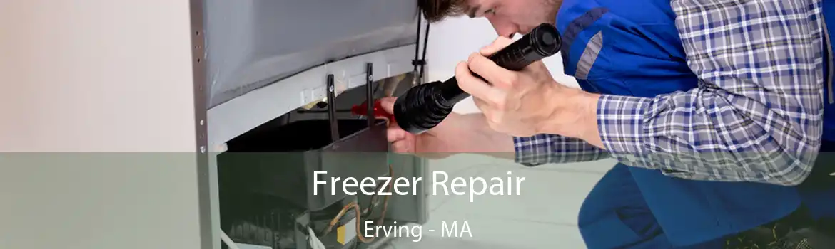 Freezer Repair Erving - MA