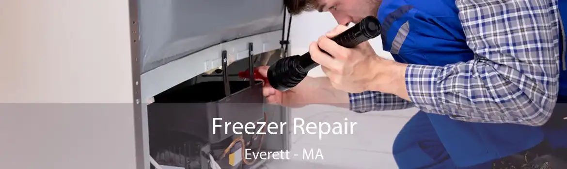 Freezer Repair Everett - MA