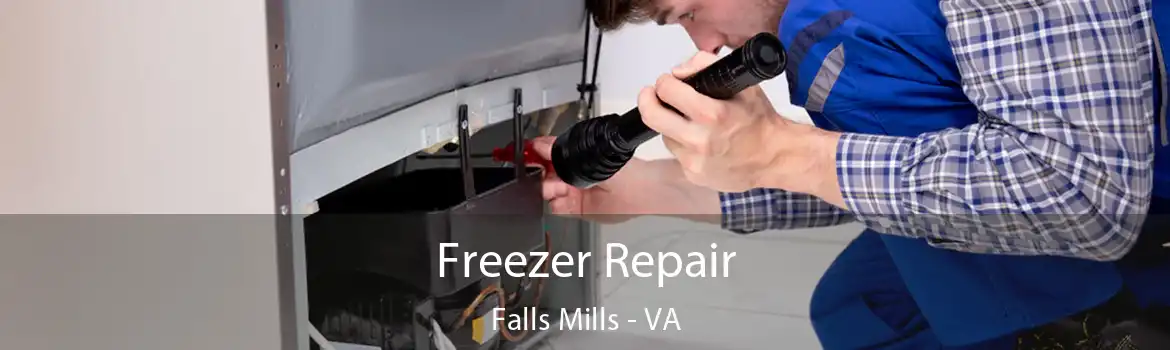 Freezer Repair Falls Mills - VA