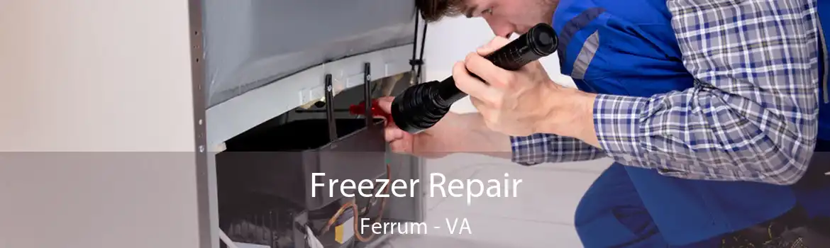 Freezer Repair Ferrum - VA