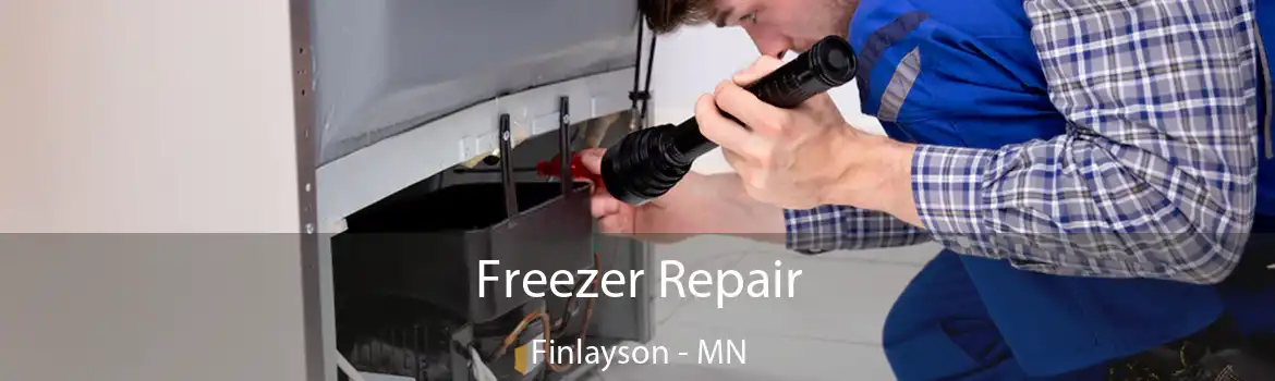 Freezer Repair Finlayson - MN