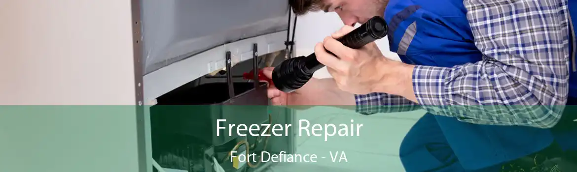 Freezer Repair Fort Defiance - VA