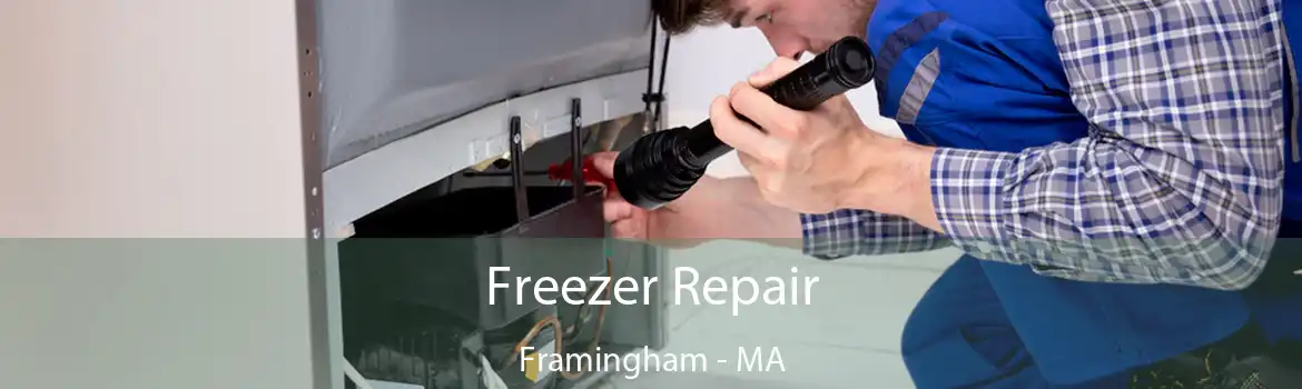 Freezer Repair Framingham - MA