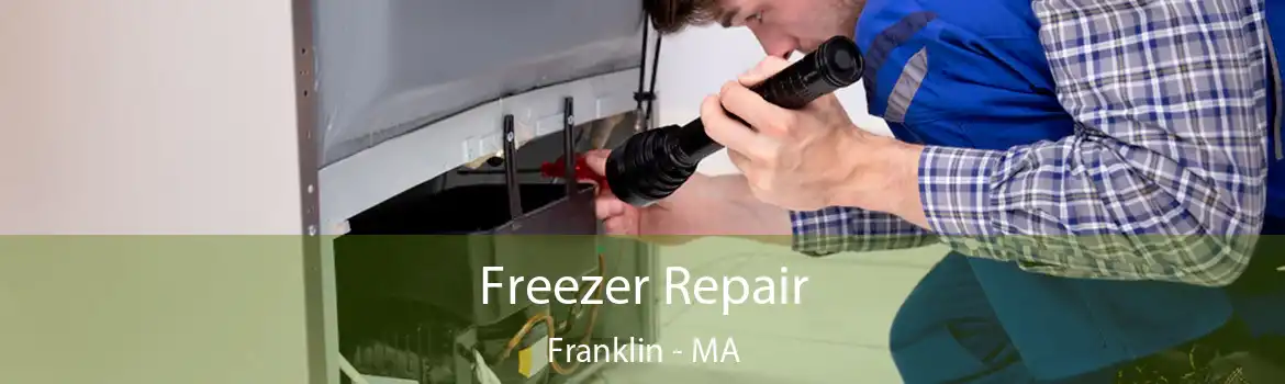 Freezer Repair Franklin - MA