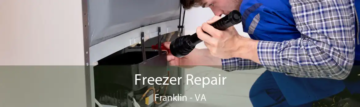 Freezer Repair Franklin - VA