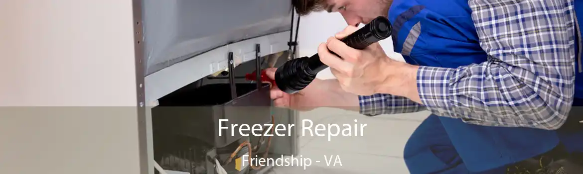 Freezer Repair Friendship - VA