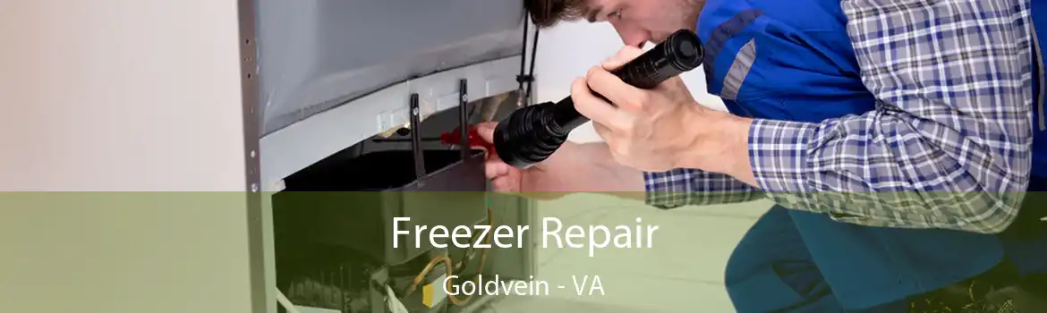 Freezer Repair Goldvein - VA