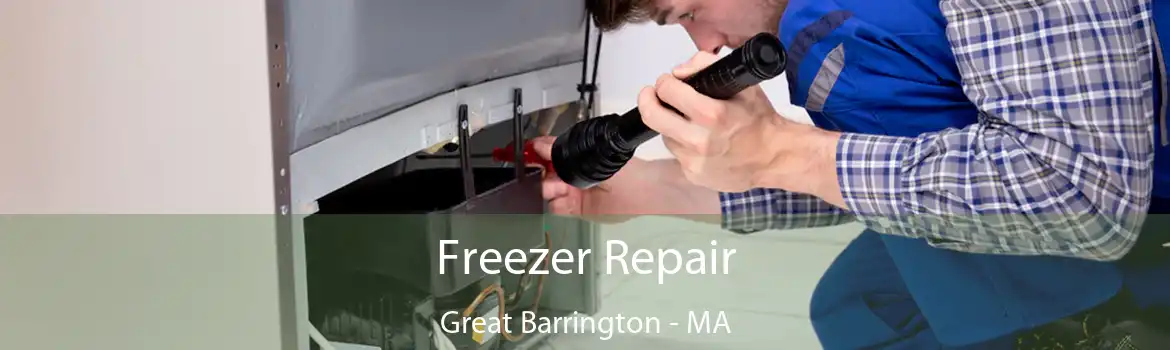 Freezer Repair Great Barrington - MA