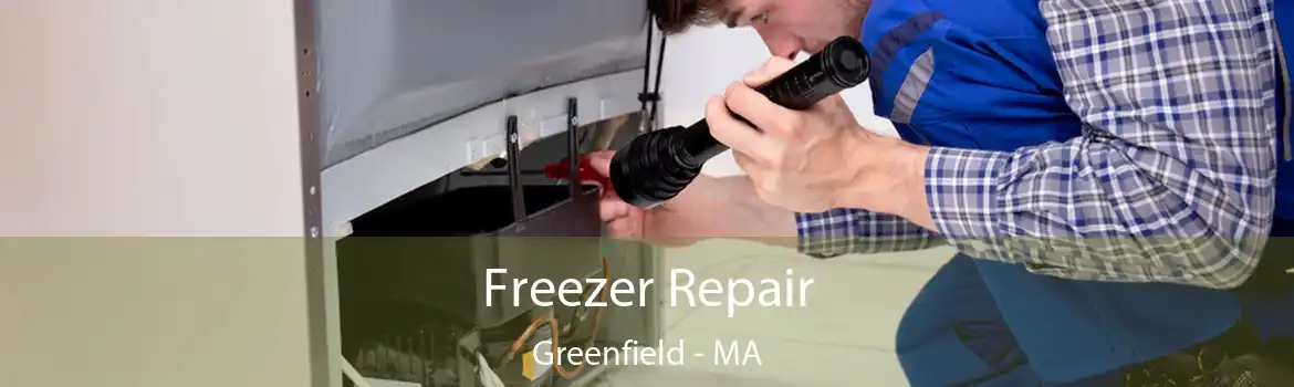 Freezer Repair Greenfield - MA