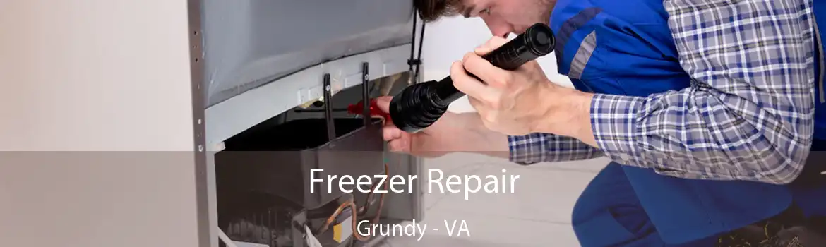 Freezer Repair Grundy - VA