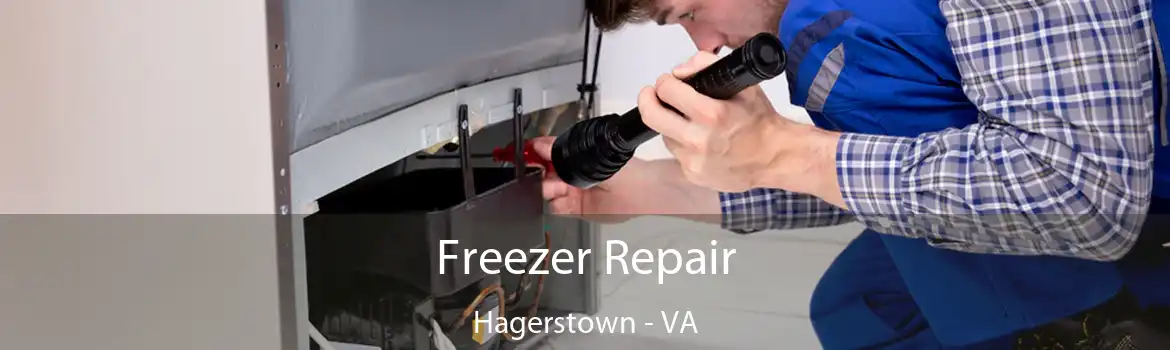 Freezer Repair Hagerstown - VA