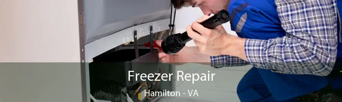 Freezer Repair Hamilton - VA