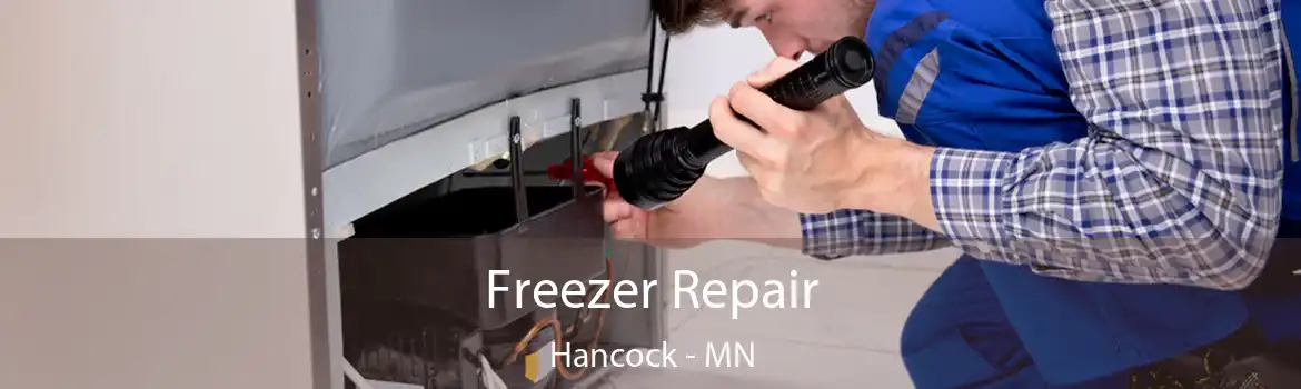 Freezer Repair Hancock - MN