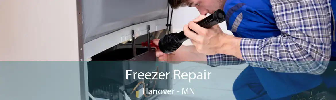 Freezer Repair Hanover - MN