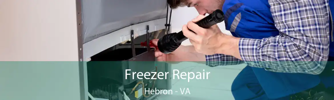 Freezer Repair Hebron - VA