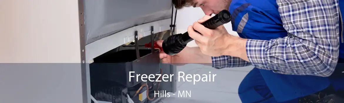 Freezer Repair Hills - MN