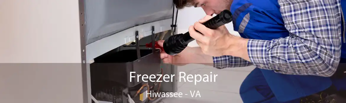 Freezer Repair Hiwassee - VA