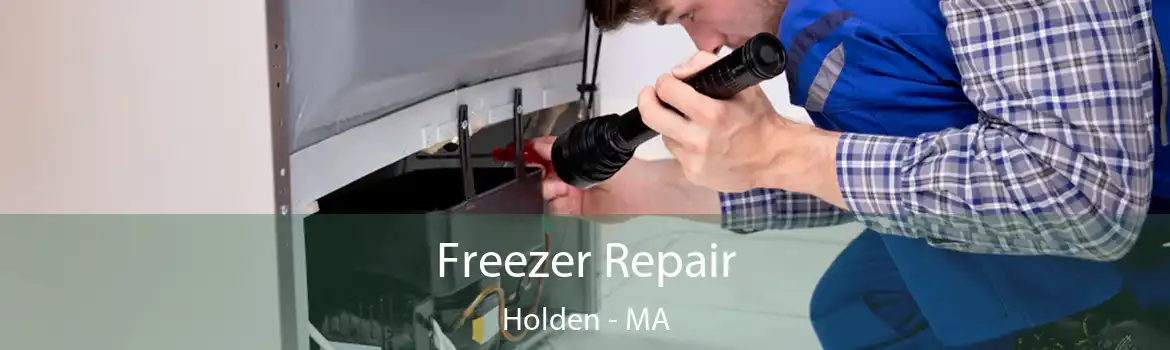 Freezer Repair Holden - MA