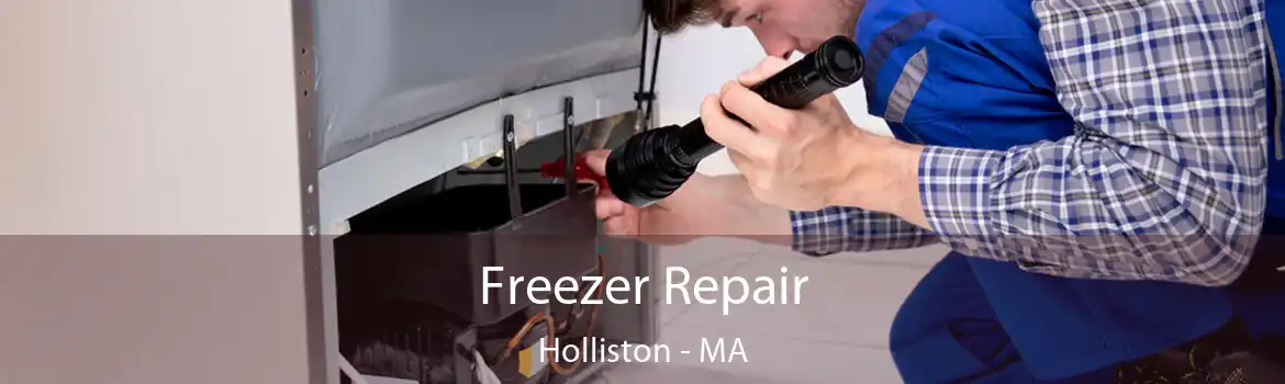 Freezer Repair Holliston - MA