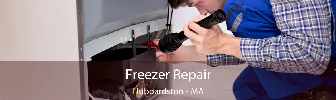 Freezer Repair Hubbardston - MA