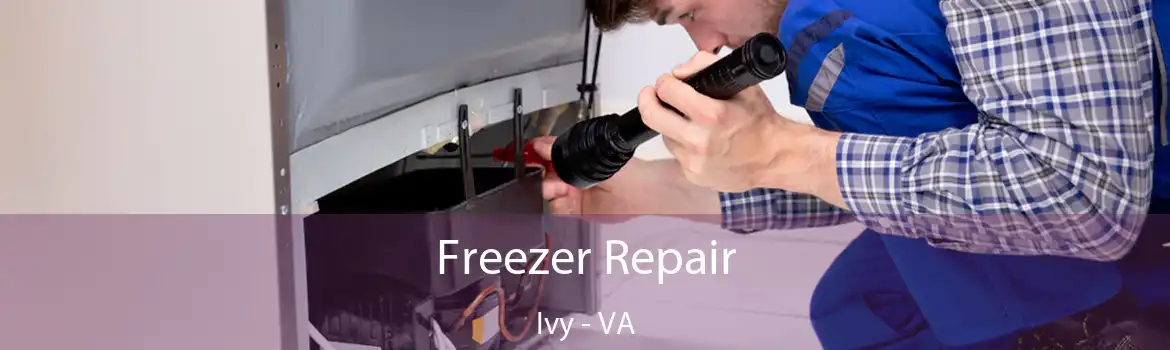 Freezer Repair Ivy - VA