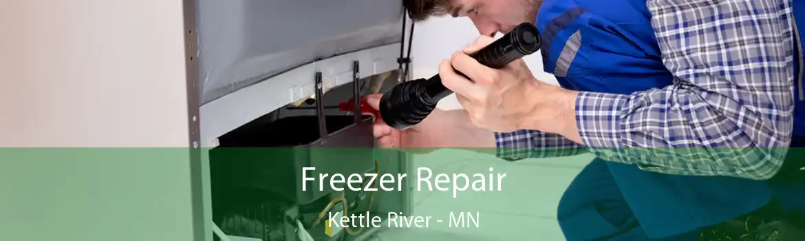 Freezer Repair Kettle River - MN