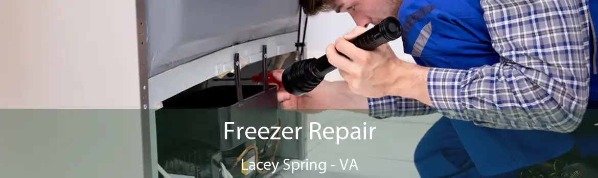 Freezer Repair Lacey Spring - VA