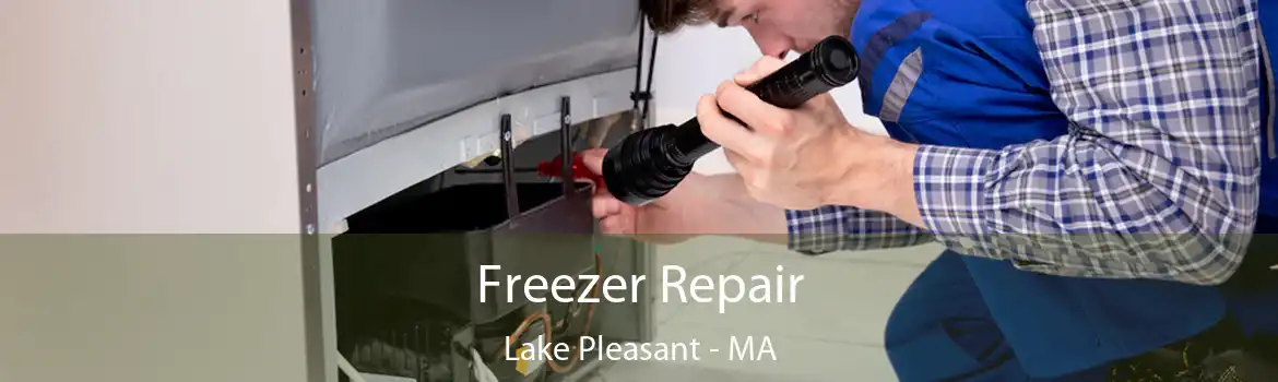 Freezer Repair Lake Pleasant - MA