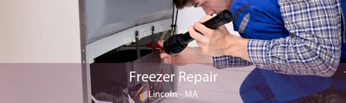 Freezer Repair Lincoln - MA