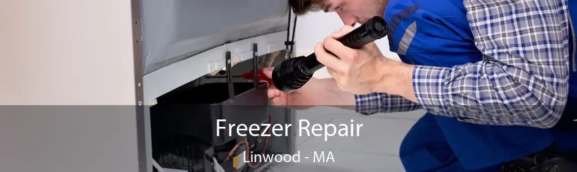 Freezer Repair Linwood - MA