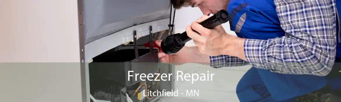 Freezer Repair Litchfield - MN