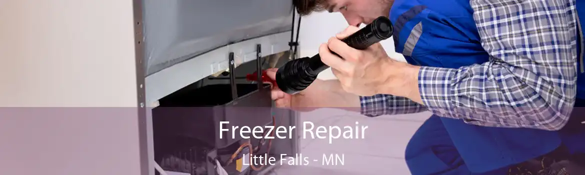 Freezer Repair Little Falls - MN