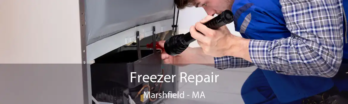 Freezer Repair Marshfield - MA