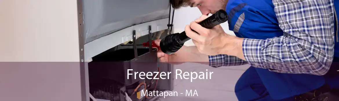 Freezer Repair Mattapan - MA