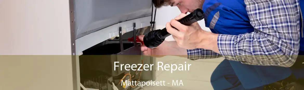 Freezer Repair Mattapoisett - MA